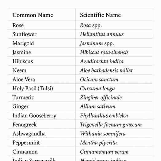 Plants scientific names and uses